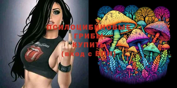 мдпв Переславль-Залесский